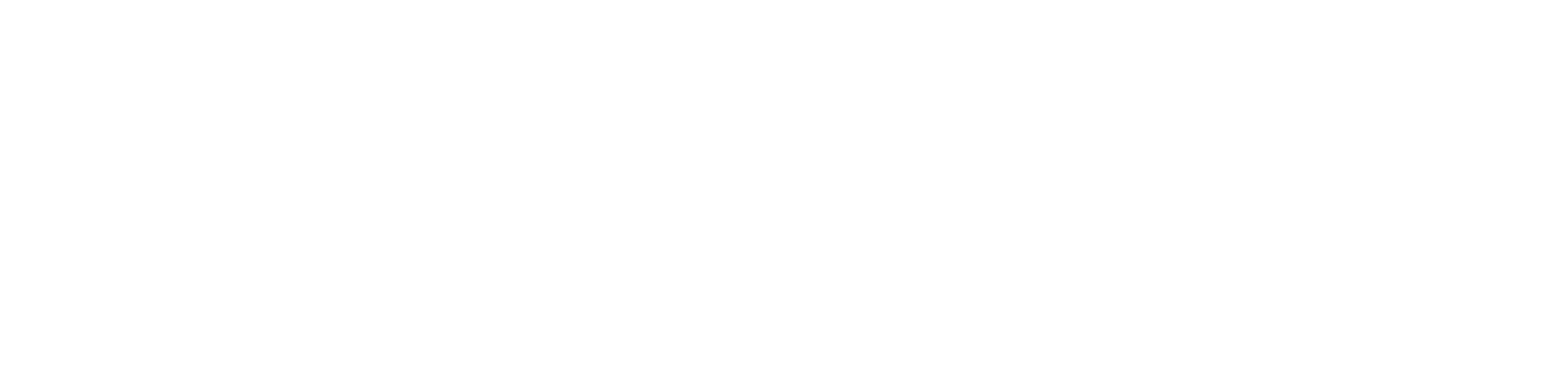 Hotel El Magnifico